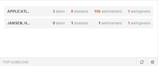 Dashboard_widget_Caseload.jpg